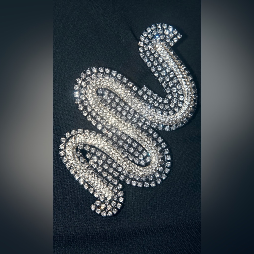 NWT ZARA SNAKE RHINESTONE BROOCH